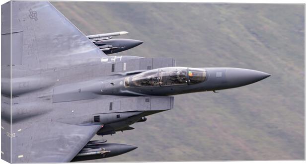 F15 Strike eagle cockpit Canvas Print by Rory Trappe