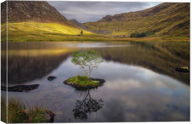 Cwmorthin Canvas Print by Rory Trappe