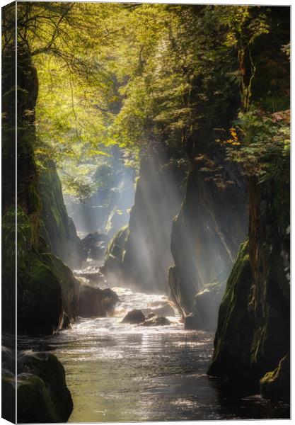 Fairy Glen at Betws y Coed Canvas Print by Rory Trappe
