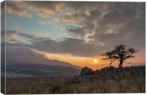 Sunrise in Snowdonia Canvas Print by Rory Trappe