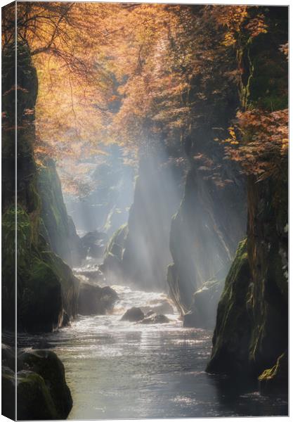 Fairy Glen at Betws y Coed Canvas Print by Rory Trappe