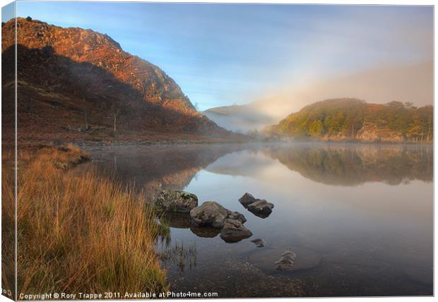 Rising mist over Llyn Dinas Canvas Print by Rory Trappe