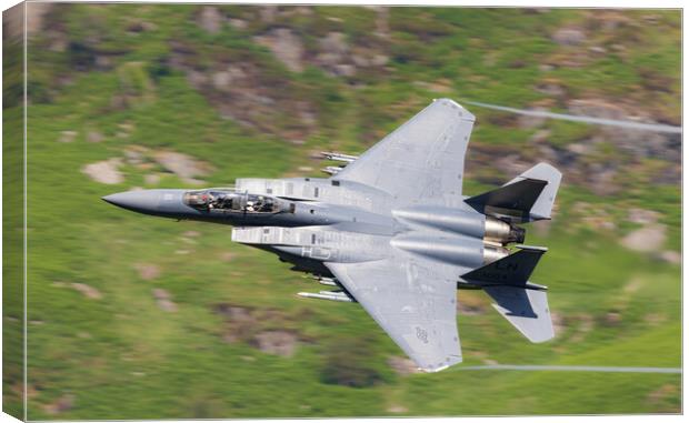 An F15 Strike Eagle Low Level Canvas Print by Rory Trappe
