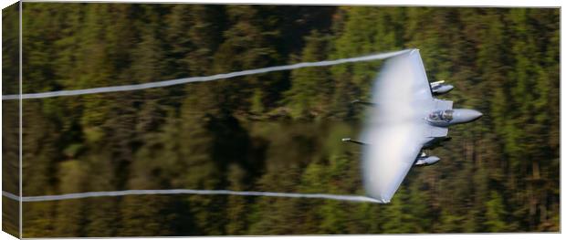 F15 - Fluff and Ribbons Canvas Print by Rory Trappe
