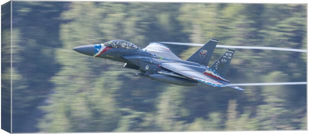 F15 Strike Eagle Liberty Special Canvas Print by Rory Trappe