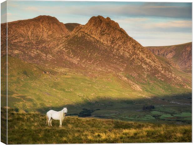 Tryfan Canvas Print by Rory Trappe