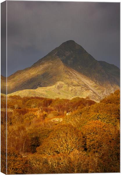 Cnicht - The Welsh Matterhorn Canvas Print by Rory Trappe