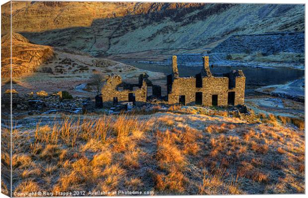 Cwmorthin Terrace Canvas Print by Rory Trappe