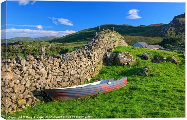 Boat in a field Canvas Print by Rory Trappe