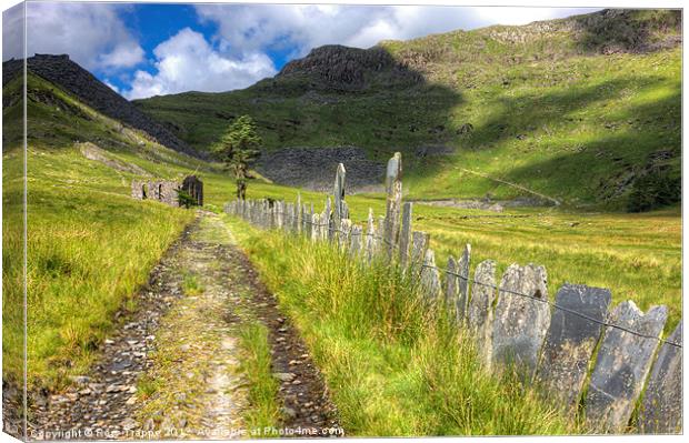 Cwmorthin track Canvas Print by Rory Trappe