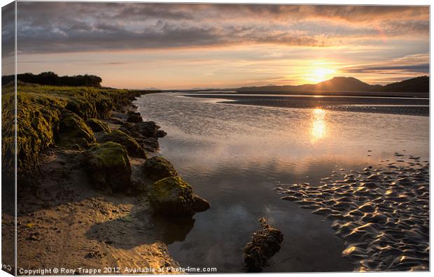 Ynys Canvas Print by Rory Trappe