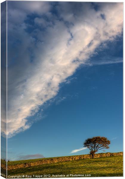 Tree on a hill Canvas Print by Rory Trappe