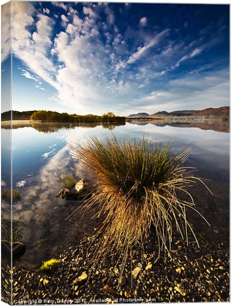 Reeds Canvas Print by Rory Trappe