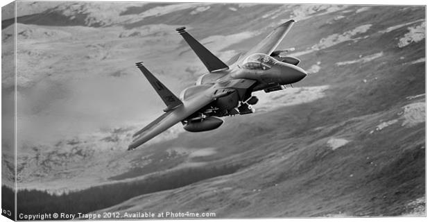 An F15 Canvas Print by Rory Trappe
