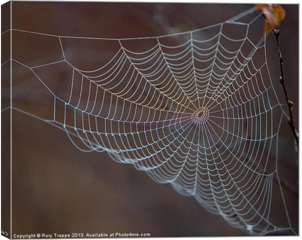 The web Canvas Print by Rory Trappe