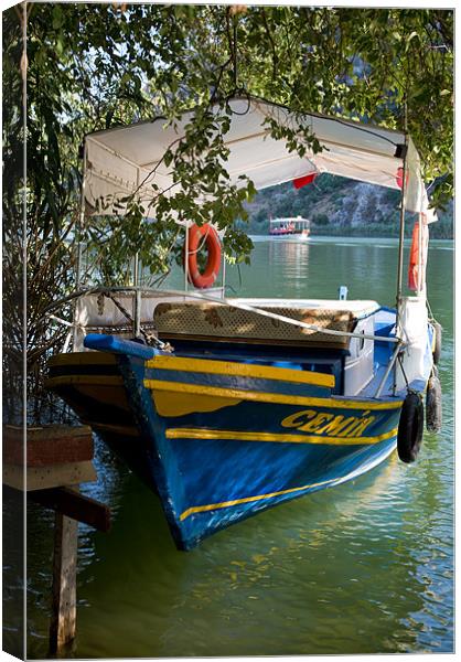 Dalyan river boat Canvas Print by Rory Trappe