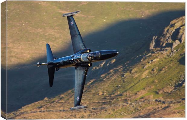 BAE Hawk T2 Canvas Print by Rory Trappe