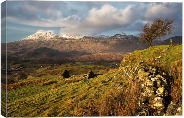 Snow on the Moelwyn Canvas Print by Rory Trappe