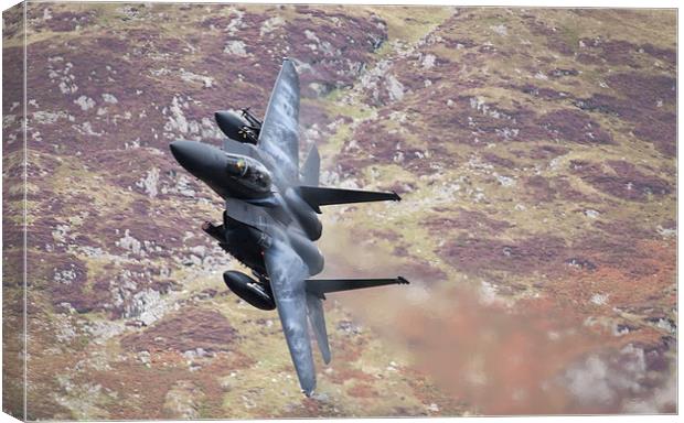 F15 - Eagle Canvas Print by Rory Trappe