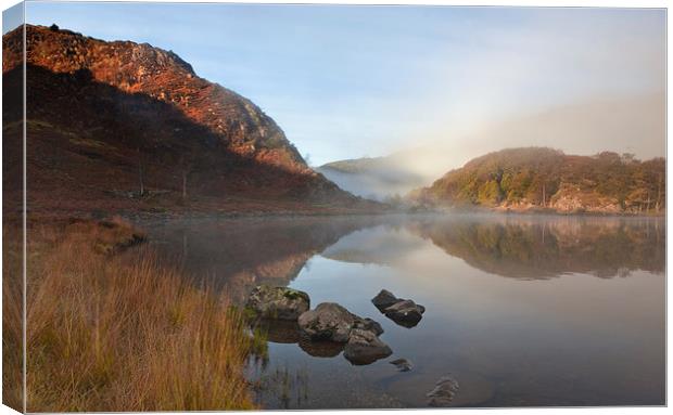 Llyn Dinas Canvas Print by Rory Trappe