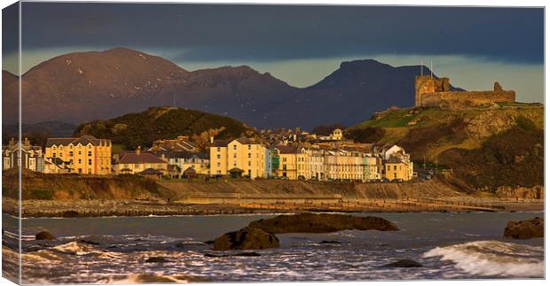 Criccieth castle and hotels Canvas Print by Rory Trappe