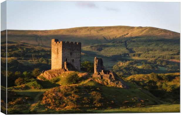 Dolwyddelan castle Canvas Print by Rory Trappe