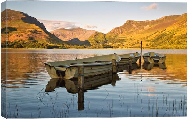 Llyn Nantlle Canvas Print by Rory Trappe