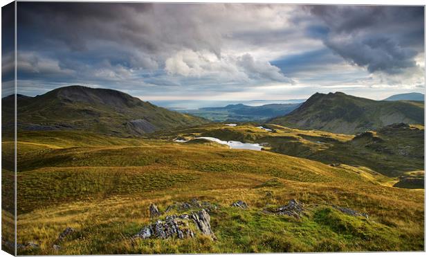  View from Moel Druman Canvas Print by Rory Trappe