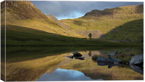  Reflection at Cwmorthin Canvas Print by Rory Trappe