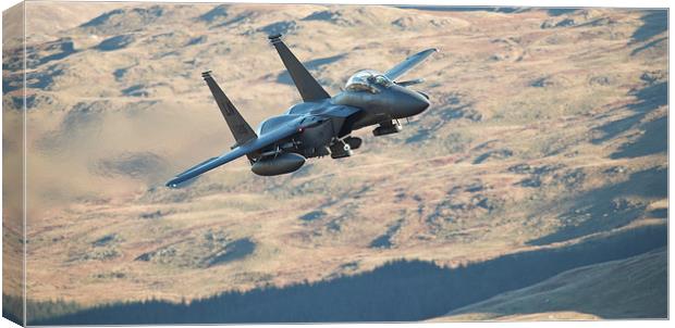 F15 - Eagle Canvas Print by Rory Trappe
