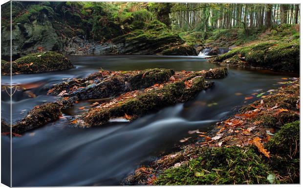  Forest river Canvas Print by Rory Trappe