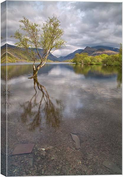  Llyn Padarn Canvas Print by Rory Trappe