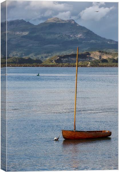  Fishing boat at Borth y Gest Canvas Print by Rory Trappe