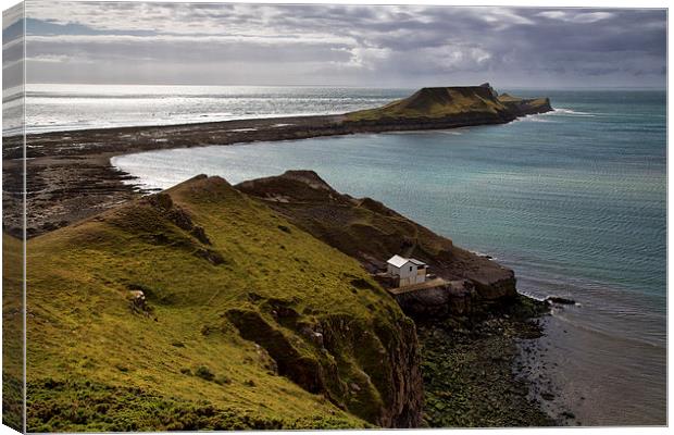  Worms head Canvas Print by Rory Trappe