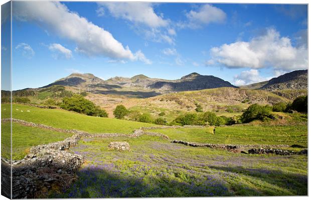  Moelwyn range Canvas Print by Rory Trappe