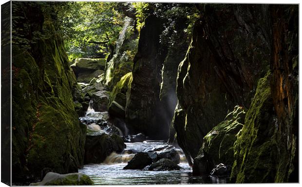 Fairy Glen Canvas Print by Rory Trappe
