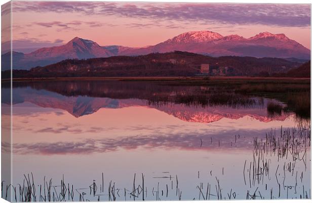 Cnicht and Moelwyn range Canvas Print by Rory Trappe