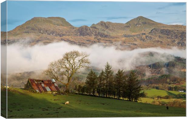 The Moelwyn range from the Bwlch road Canvas Print by Rory Trappe