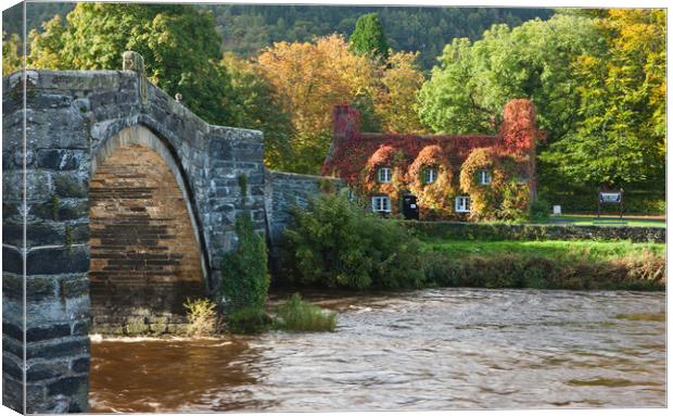 Autumn at Llanrwst Canvas Print by Rory Trappe