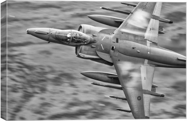 RAF Harrier Canvas Print by Rory Trappe
