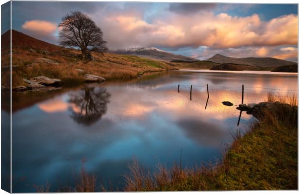 Llyn y Dywarchen Canvas Print by Rory Trappe