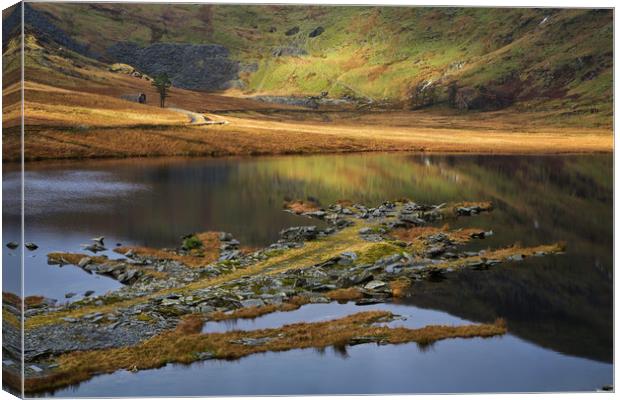 Cwmorthin Canvas Print by Rory Trappe