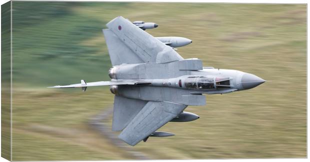Swept Gr4 Canvas Print by Rory Trappe