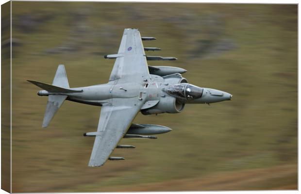 RAF Harrier GR9A Canvas Print by Rory Trappe