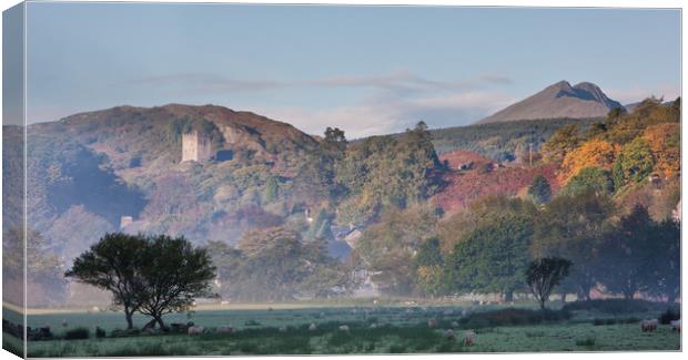Dolwyddelan in the autumn Canvas Print by Rory Trappe