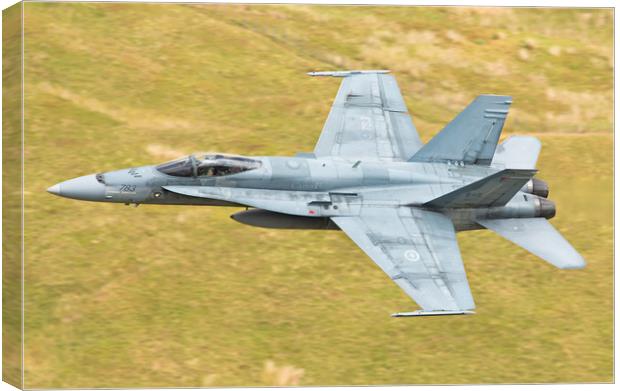 McDonnell Douglas CF-18 Hornet Canvas Print by Rory Trappe