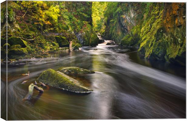 Fairy Glen - Betws y Coed Canvas Print by Rory Trappe