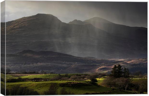Rain shower over the Moelwyn range Canvas Print by Rory Trappe