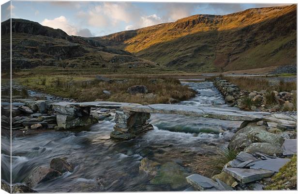 Afon Cwmorthin Canvas Print by Rory Trappe