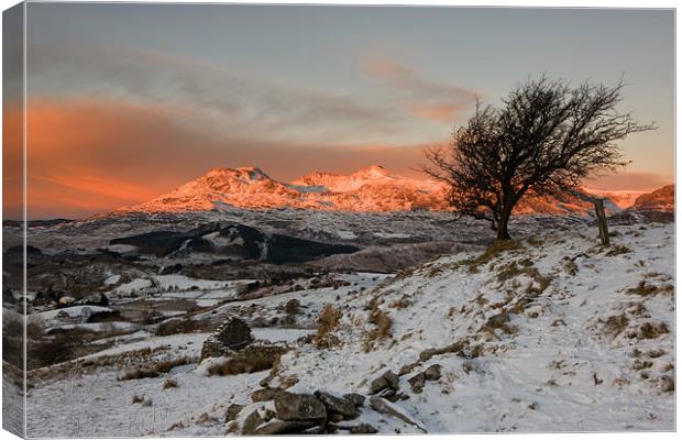 Sunrise over the Moelwyn range Canvas Print by Rory Trappe